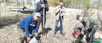 Башкөл ауылында Шабра тоғай саябағында ағаш көшеттері отырғызылды